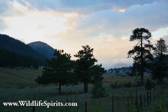 Click Picture to send as an  E-PostCard 58k 550x367